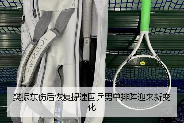 樊振东伤后恢复提速国乒男单排阵迎来新变化 - BBSPORTS